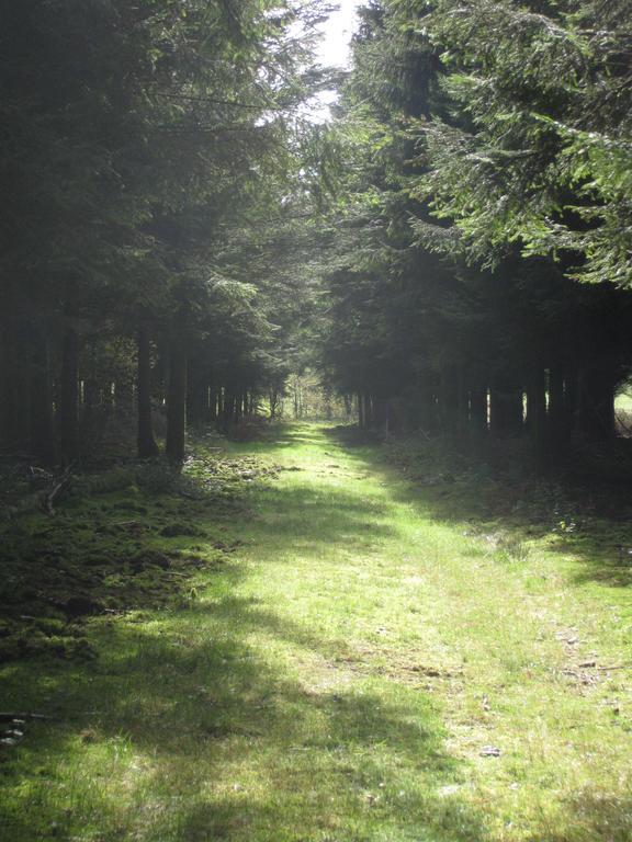 Vila Les Terriers Saint-Hubert Hatrival Pokoj fotografie